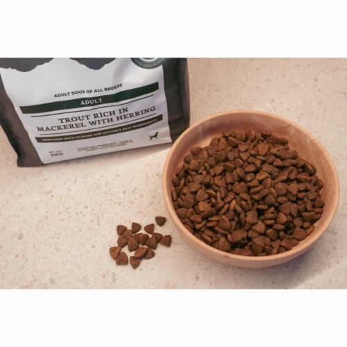 Riverwood Adult Trout & Mackerel – graanvrije droogvoer voor volwassen honden met forel en makreel