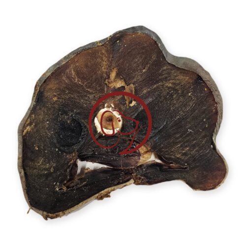 Gedroogde haaiensteak, 100% haai