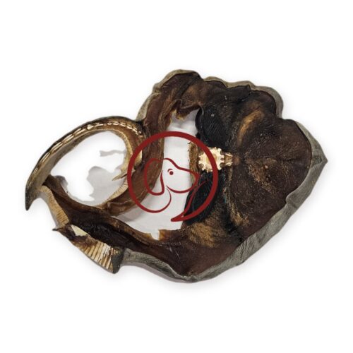 Gedroogde haaiensteak van 150-200 gram