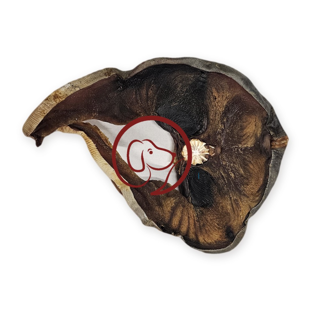 Gedroogde haaiensteaks