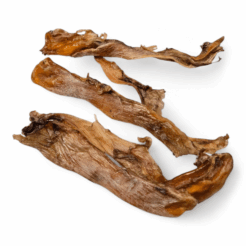 Struisvogelpees lang